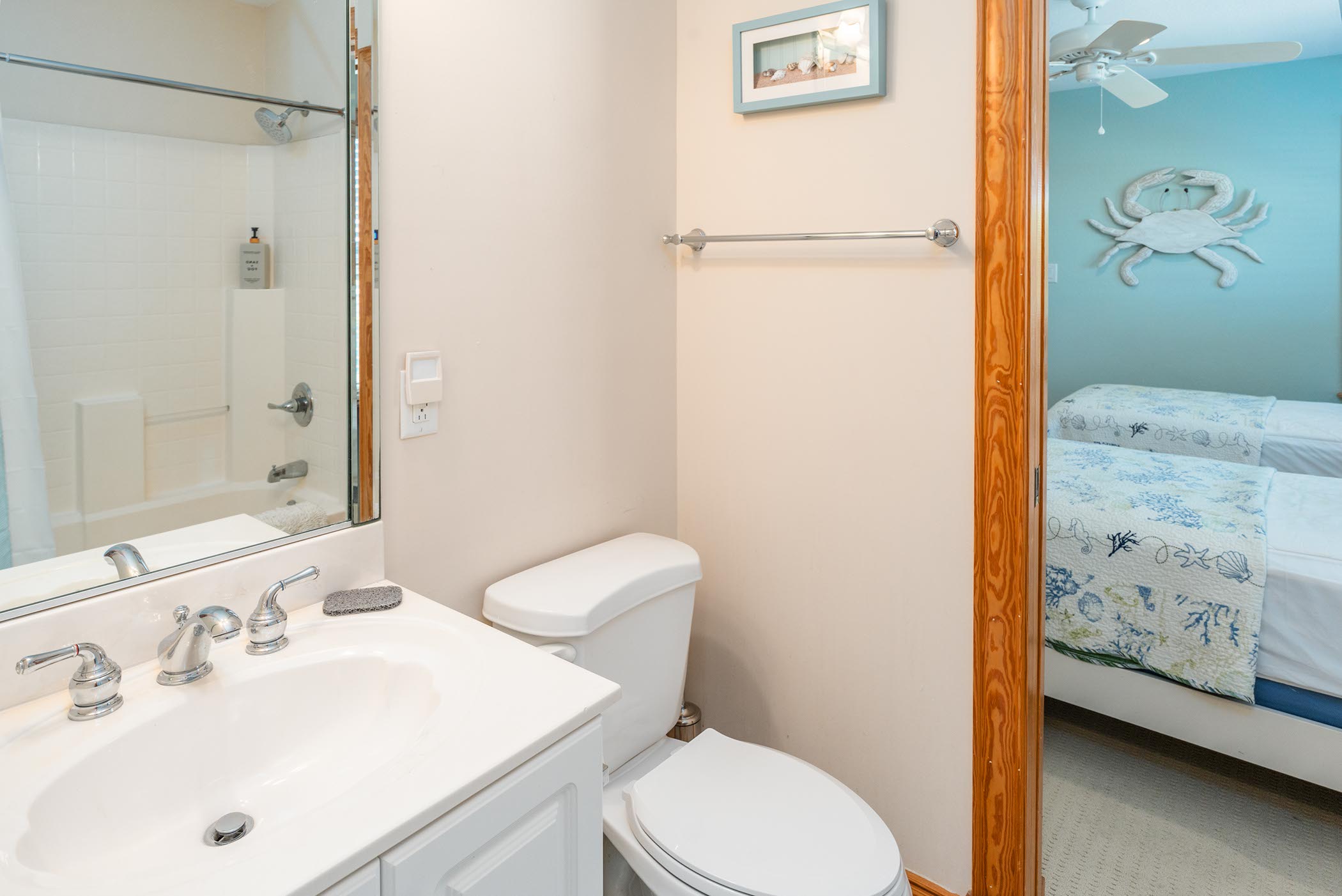 Jack and Jill Bathroom